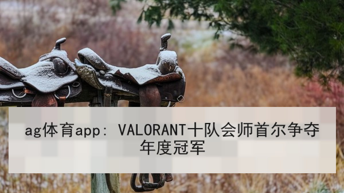ag体育app: VALORANT十队会师首尔争夺年度冠军