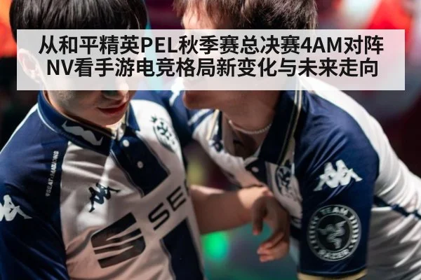 从和平精英PEL秋季赛总决赛4AM对阵NV看手游电竞格局新变化与未来走向